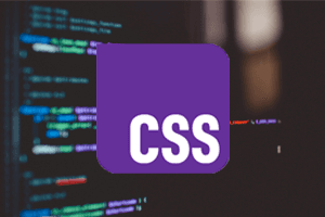 CSS